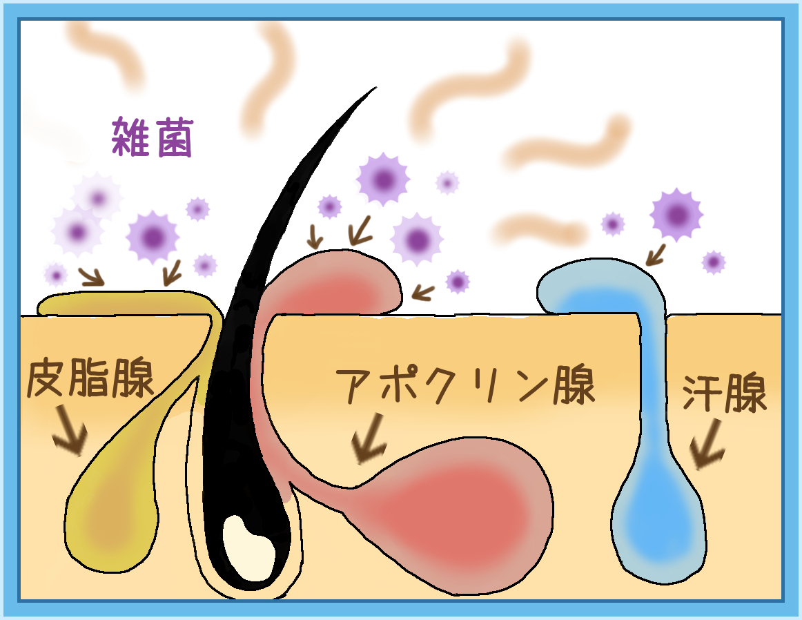 臭い お 生理 前 なら
