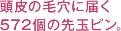 頭皮の毛穴に届く572個の先丸ピン。