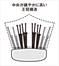 特許取得の頭皮密着設計